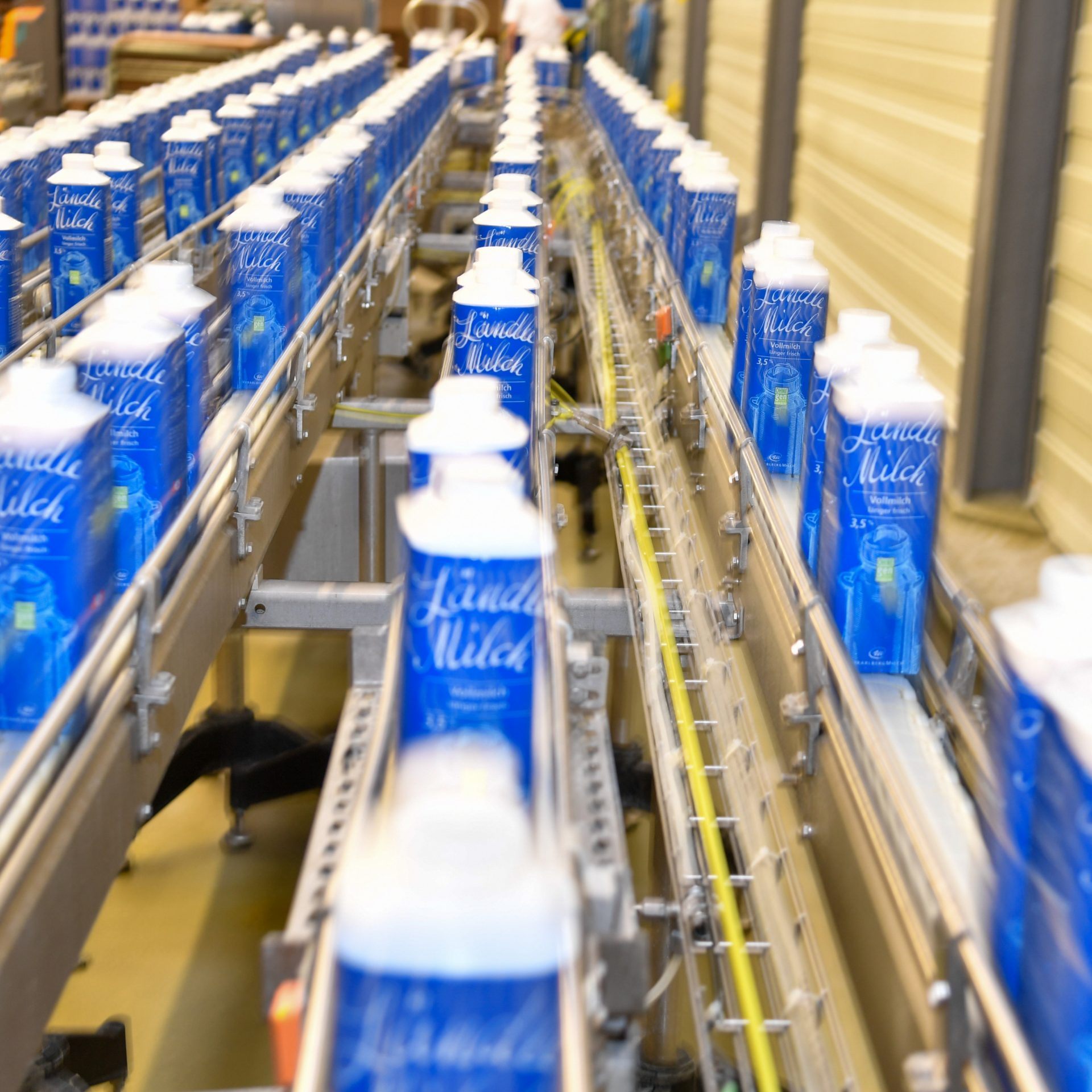 Die wirtschaftlich angeschlagene Vorarlberg Milch steht vor einer wichtigen Entscheidung