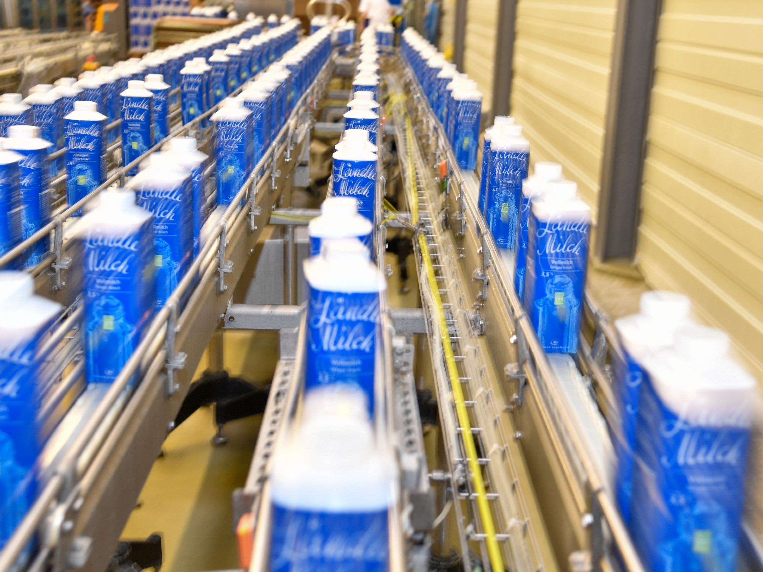 Die wirtschaftlich angeschlagene Vorarlberg Milch steht vor einer wichtigen Entscheidung