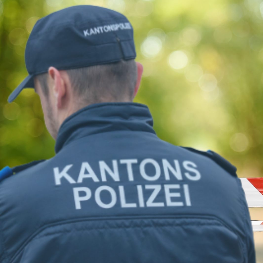 Eine 15-Jährige wurde am leblos in Berikon gefunden. Polizei spricht von Tötungsdelikt, Festnahme erfolgt. Schulbezug wird geprüft.