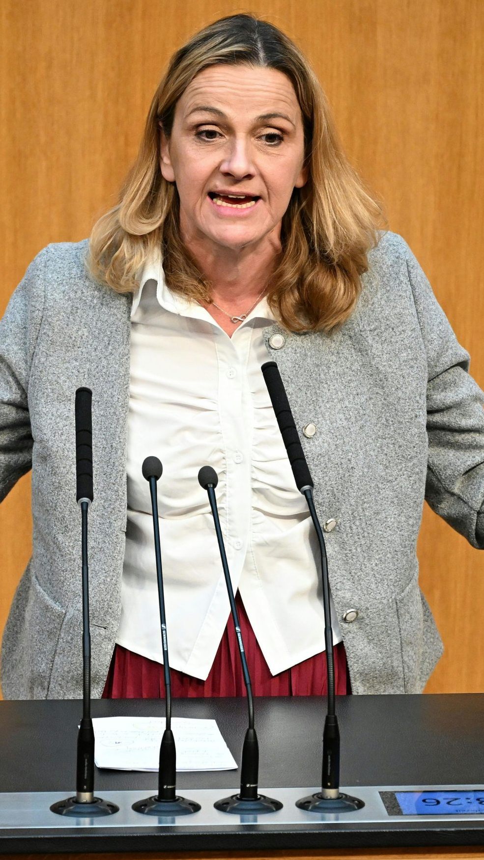 Belakowitsch zu Butscha-Besuch: "Da habt ihr viel Spaß gehabt, gell?"