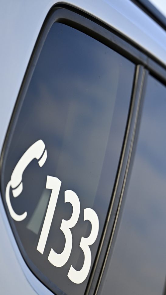 Beamte hielten Stiere bis zur Ankunft des Besitzers in Schach. Danach gab es eine Polizeieskorte.