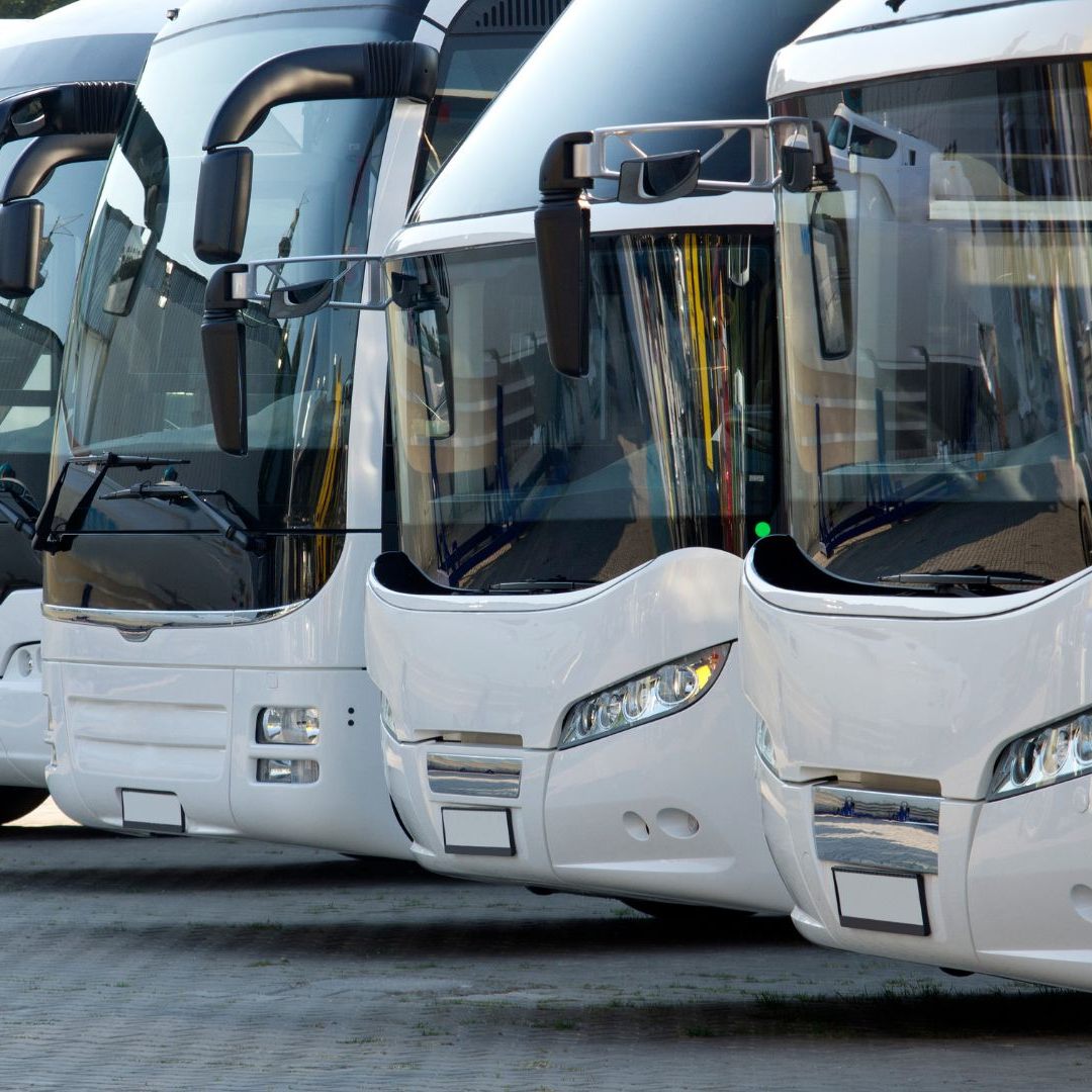 Mit den Warteplätzen für Reisebusse soll der Verkehrsfluss am Wiener Franz Josefs Kai gewährleistet werden.