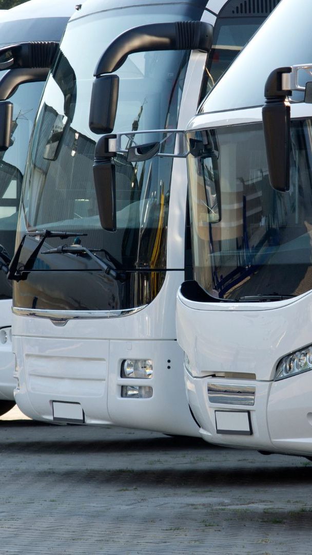 Mit den Warteplätzen für Reisebusse soll der Verkehrsfluss am Wiener Franz Josefs Kai gewährleistet werden.