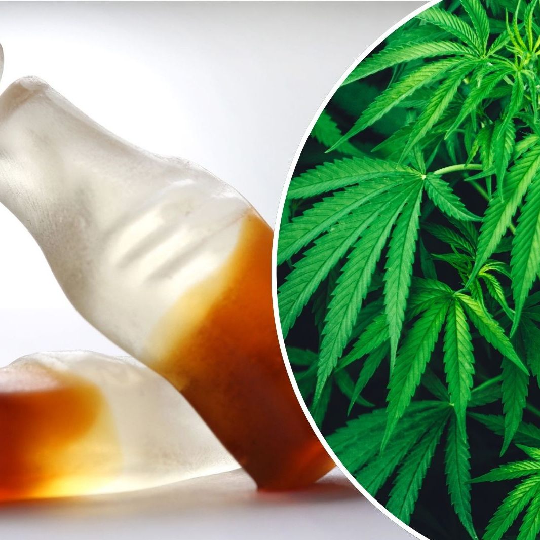 Ein Kind liegt im Koma, nach dem es Colafläschen mit Cannabis gegessen hat.