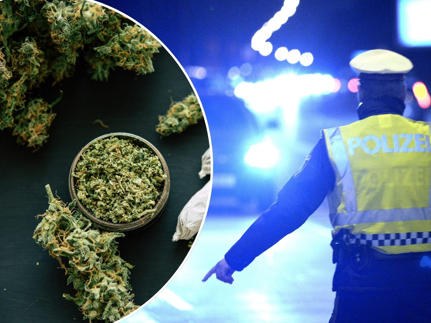 In einem Fall stellte die Polizei rund 175 Gramm Cannabiskraut sicher. In einem Fall stellte die Polizei rund 175 Gramm Cannabiskraut sicher.