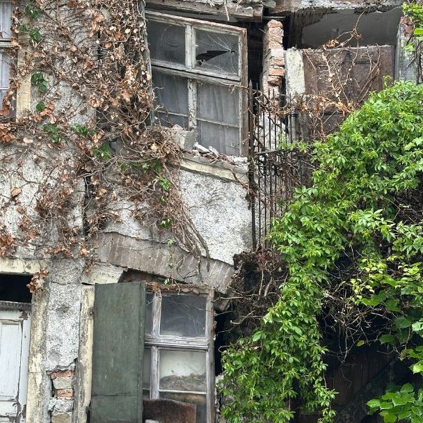Wie steht es laut Bundesdenkmalamt um den Bären?