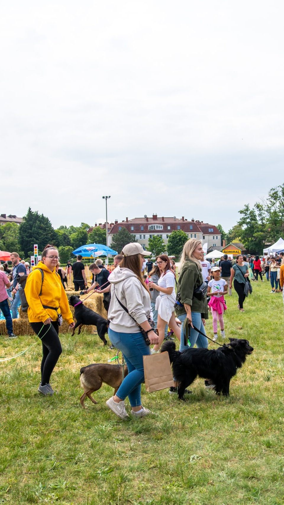 Österreichs größtes Hunde-Open-Air lockt mit Show, Action und Erlebnis für die ganze Familie.