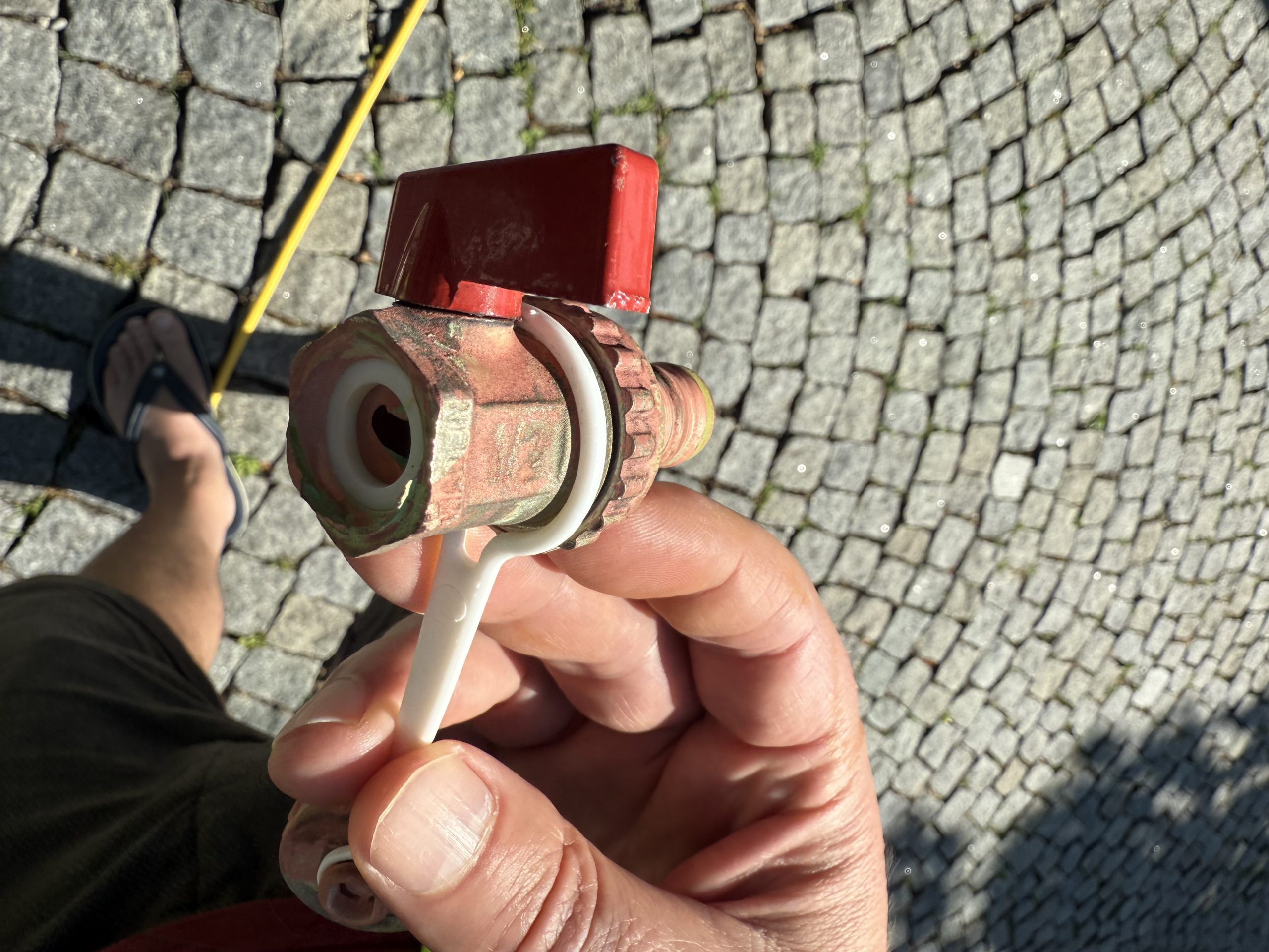 Chlorgasaustritt im Bregenzer Strandbad
