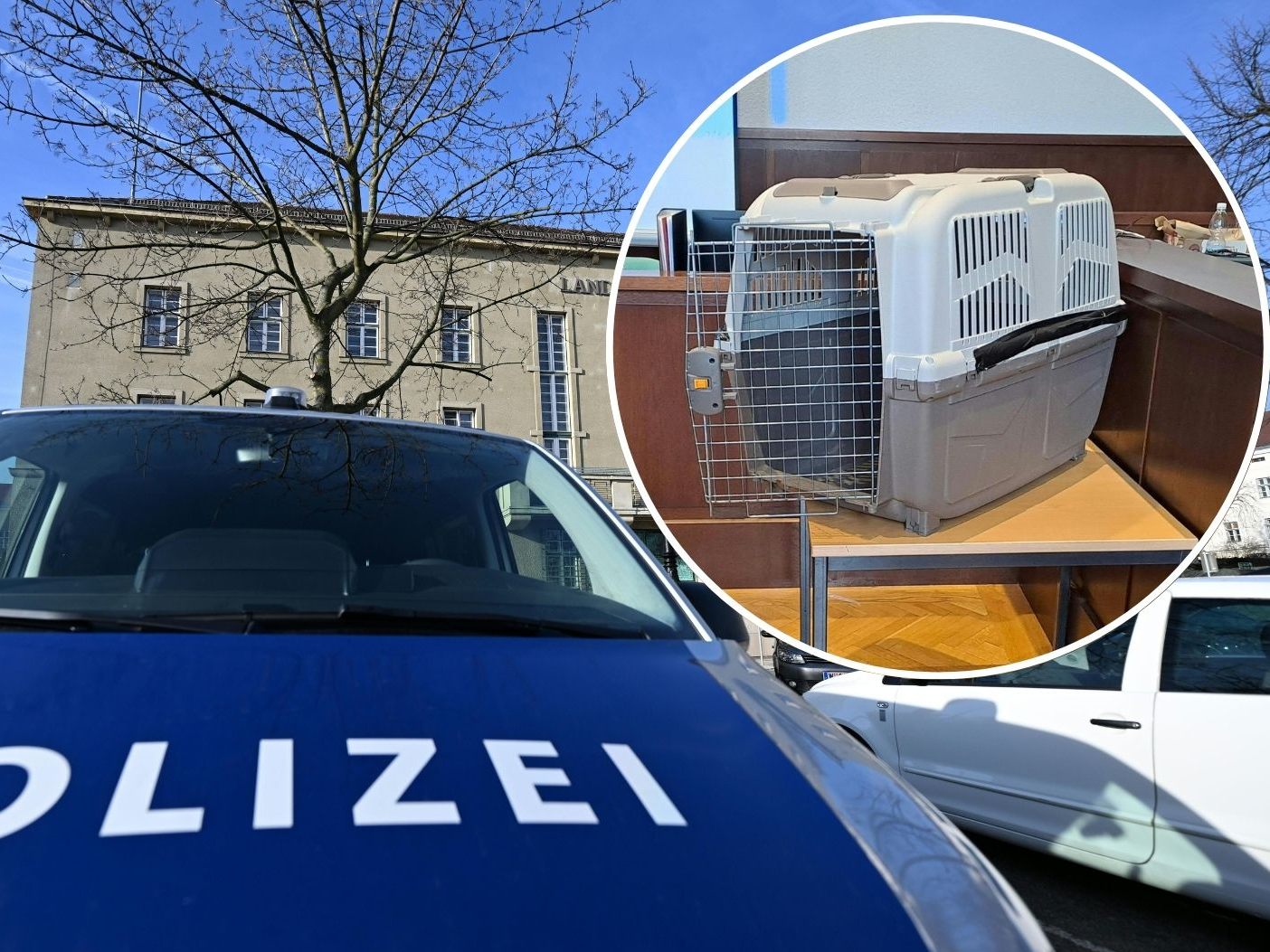 Opferanwälte fordern 150.000 Euro und Haftung für künftige Schäden vom Land Niederösterreich. Opferanwälte fordern 150.000 Euro und Haftung für künftige Schäden vom Land Niederösterreich.