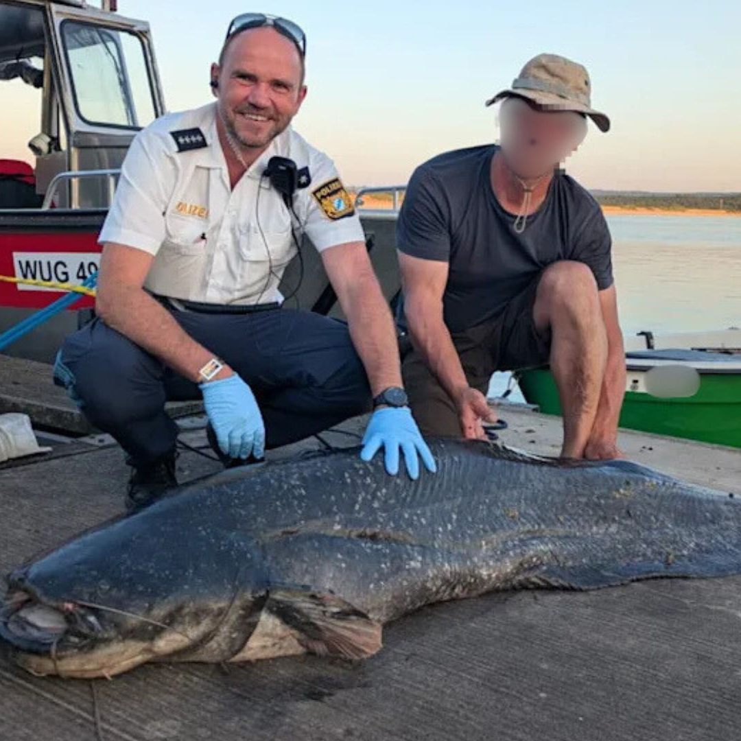 Die Polizei musste das Tier erlegen.