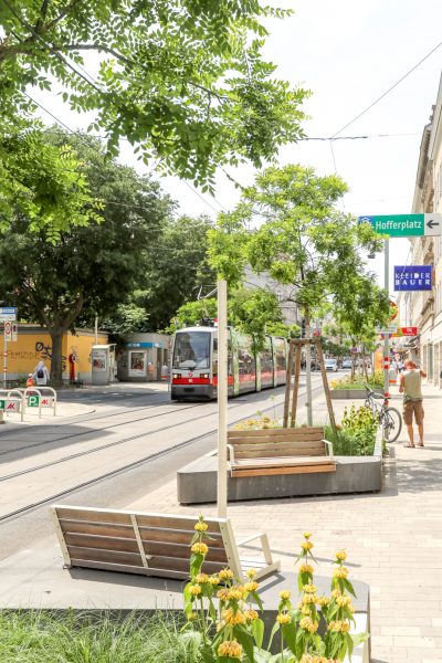 Nach dem Motto "Raus aus dem Asphalt" wurde die 2,8 Kilometer lange Thaliastraße in drei Etappen entsiegelt, begrünt und gekühlt.
