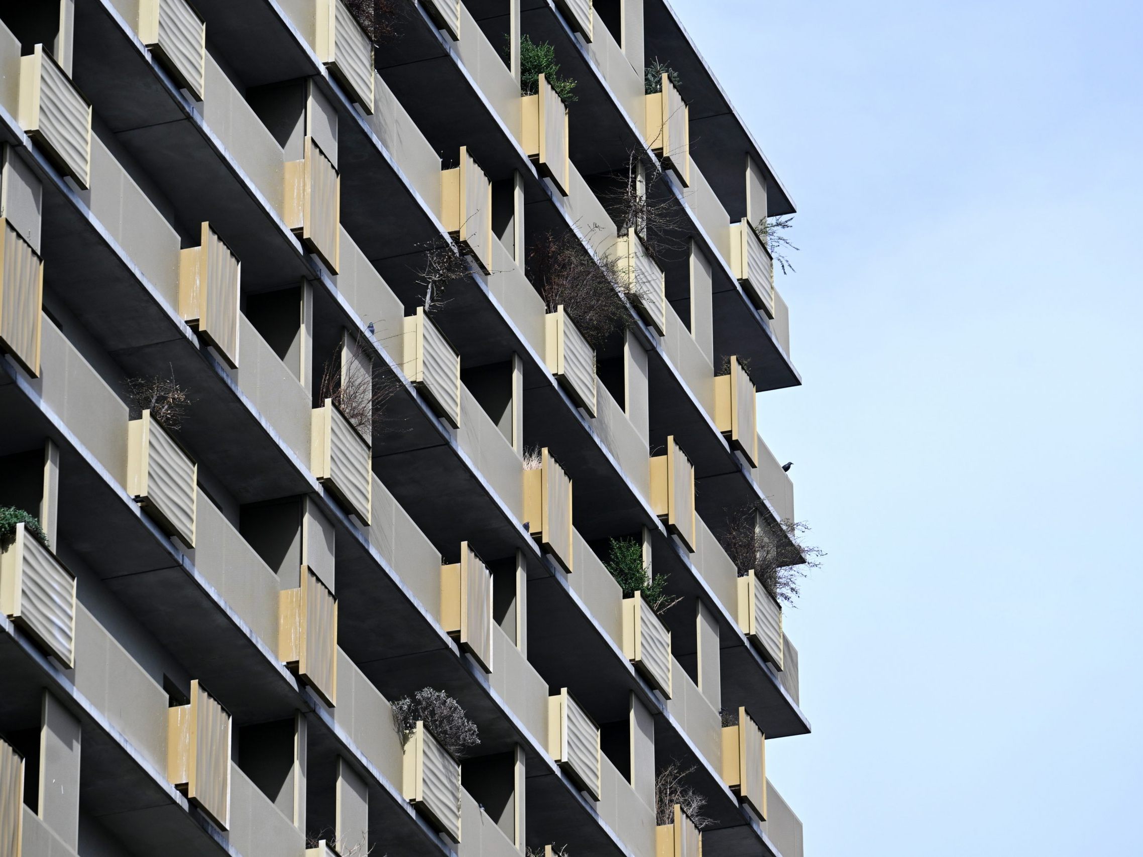 Die-Rolle-der-Wiener-Hausverwaltungen-Zwischen-Service-und-Konflikt