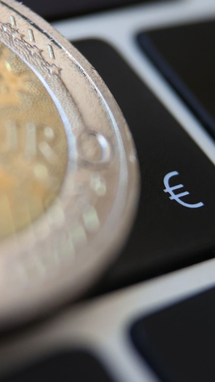 Die Akzeptanz eines digitalen Euros variiert je nach Ausgestaltung.