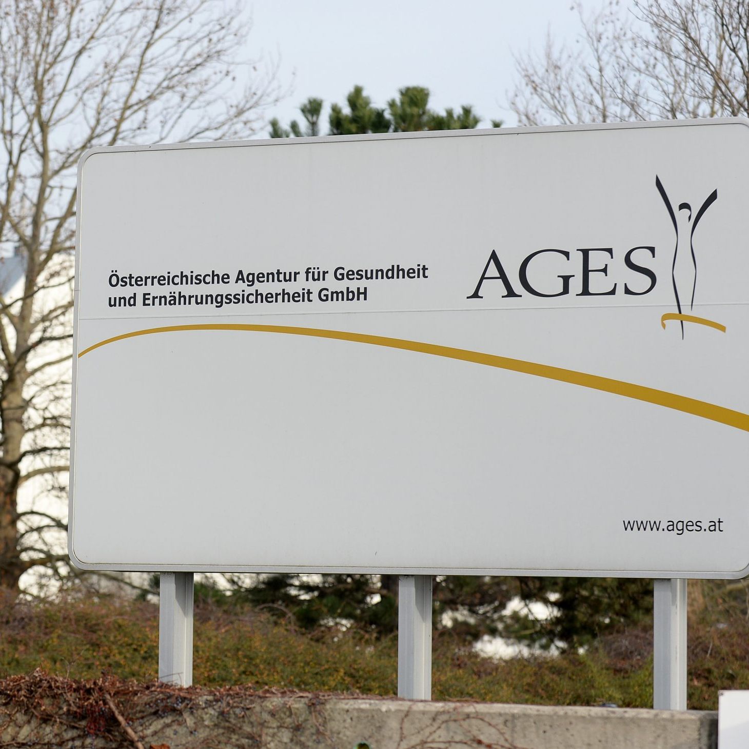 Laut AGES war hierzulande zuvor bislang kein Japankäfer entdeckt worden.