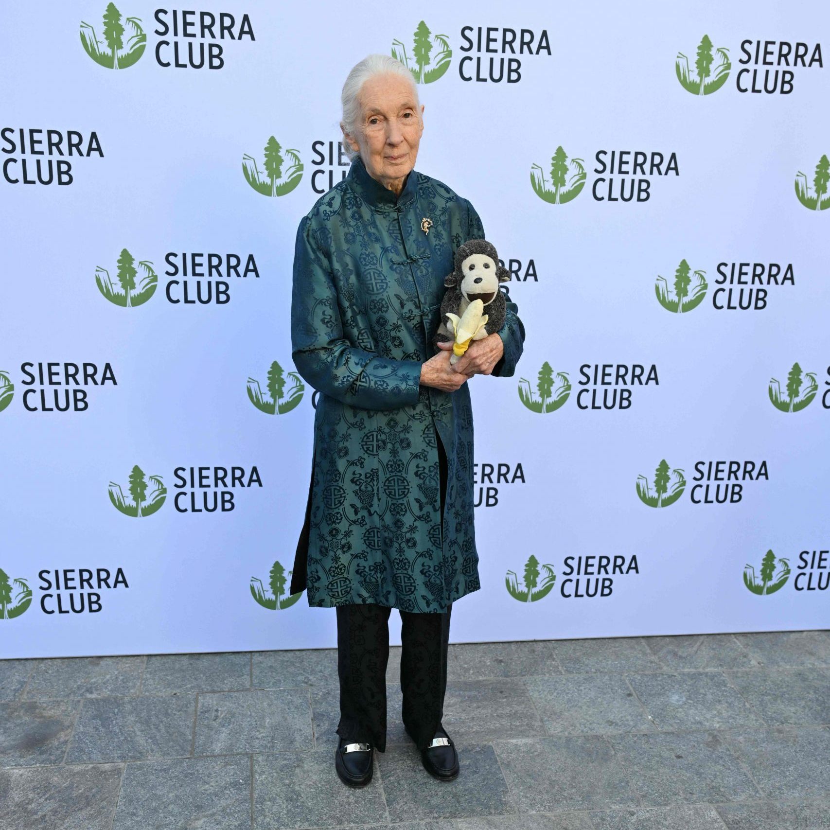 Jane Goodall veränderte mit ihrer Forschung das Verständnis von Schimpansen und beeinflusste die Primatologie nachhaltig.