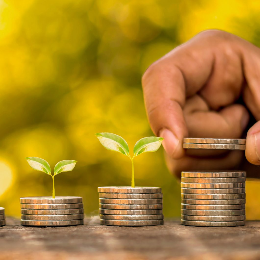 Das IHS sieht "mäßiges Wachstumspotenzial" bis 2029.