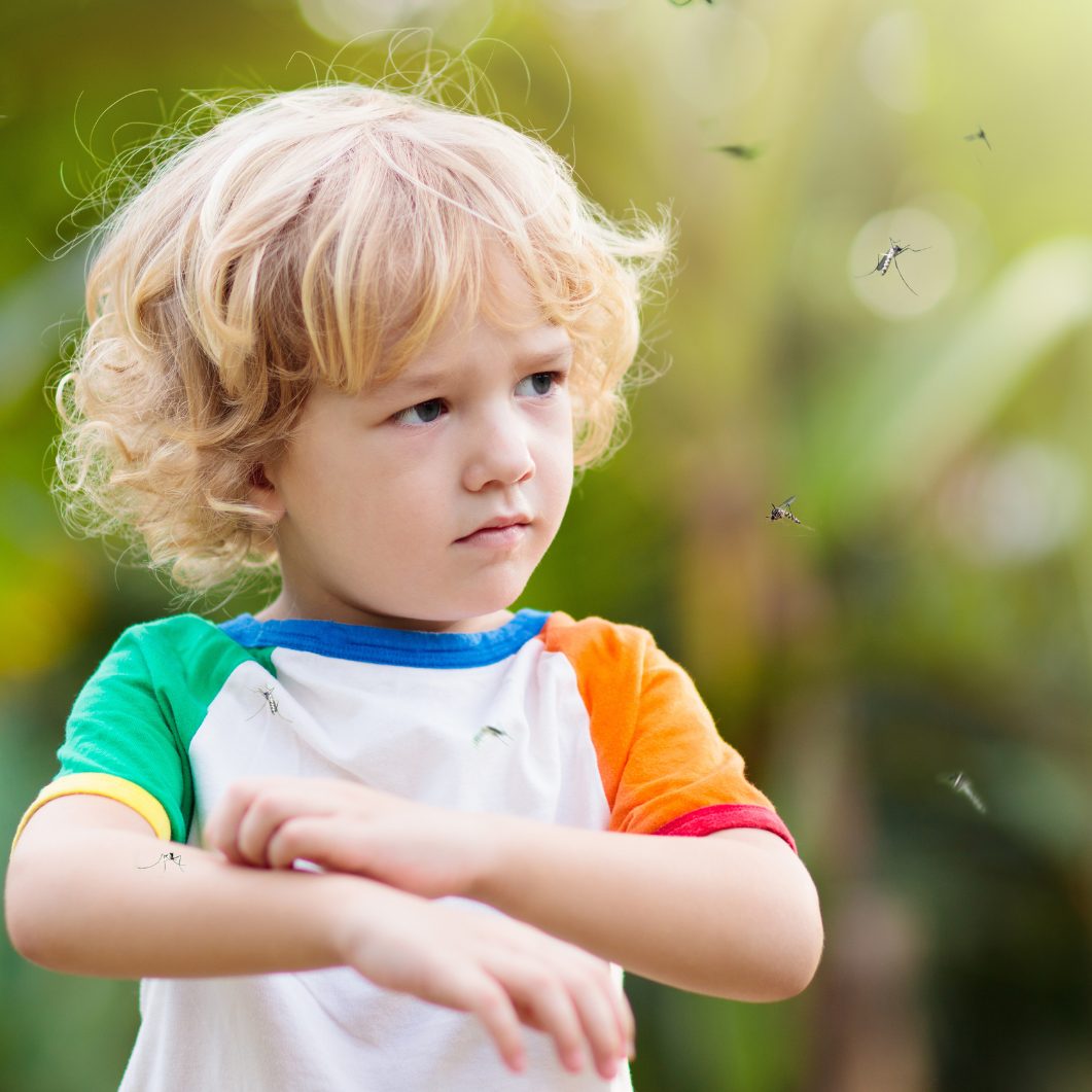 Erste Hilfe bei Insektenstichen und Schlangenbissen.