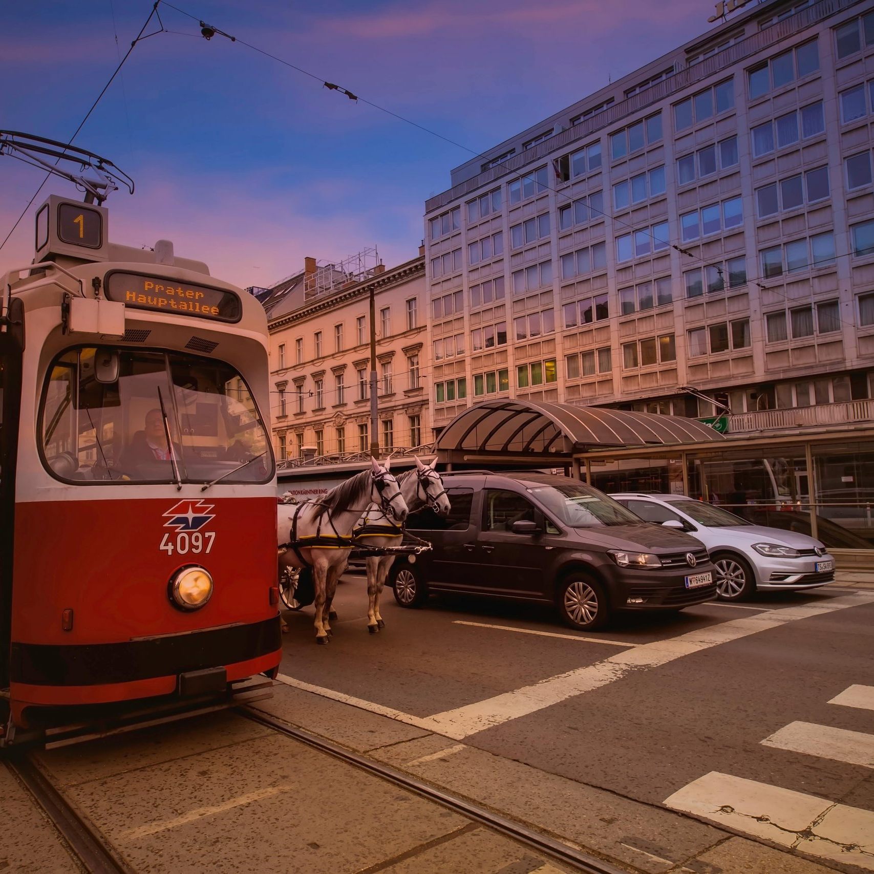 Für die Pferde ist der Straßenverkehr eine immense Belastung.
