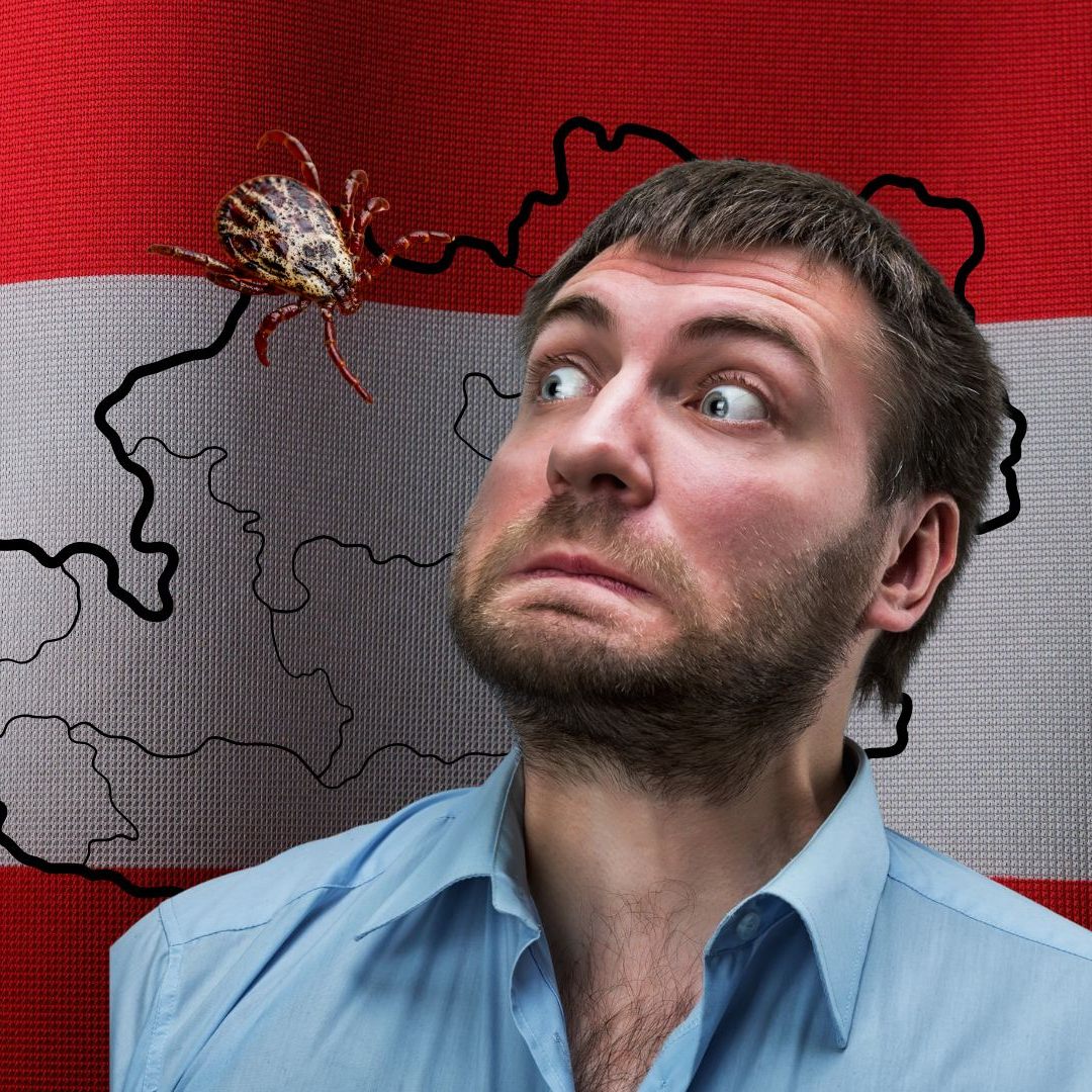 Borreliose-Schock: Jede dritte Zecke infiziert – so schützt du dich jetzt