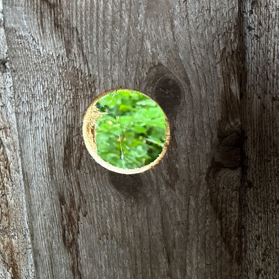 Zwei unscheinbare Löcher in der Stadelwand. Doch es steckt mehr dahinter.