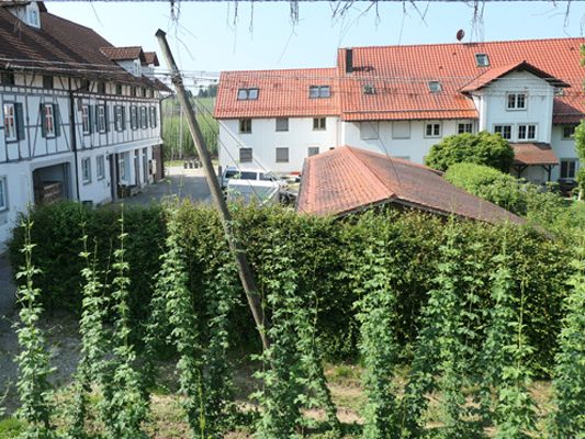 Hopfenmuseum Tettnang Hopfenmuseum Tettnang