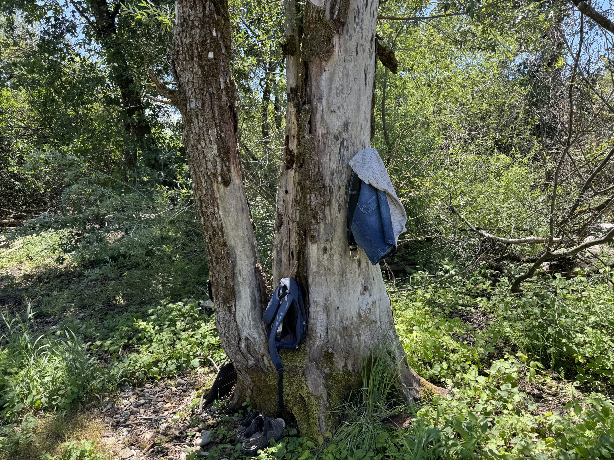 Kleidung braucht man hier keine. Man darf aber mit Badehose oder Bikini baden, wenn man möchte. Kleidung braucht man hier keine. Man darf aber mit Badehose oder Bikini baden, wenn man möchte.