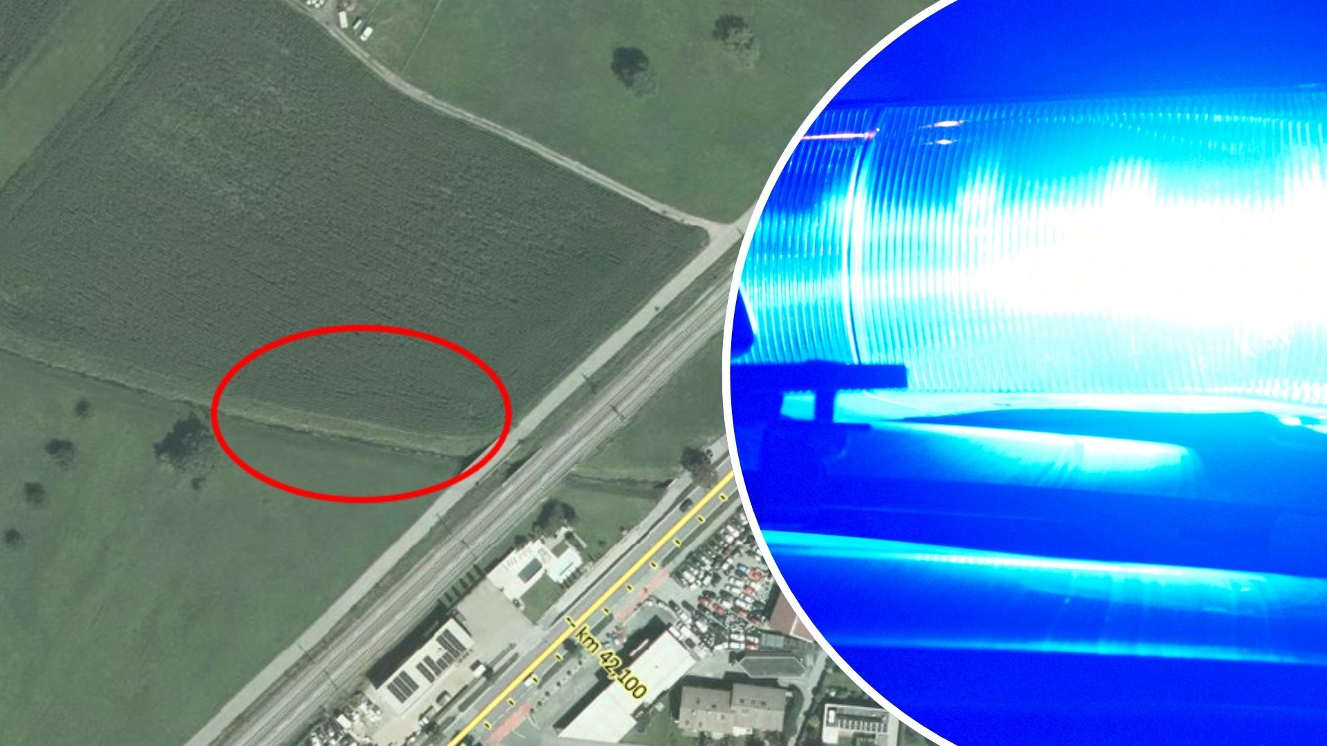 Übergriff nahe Maisfeld in Hohenems – Zeugen gesucht