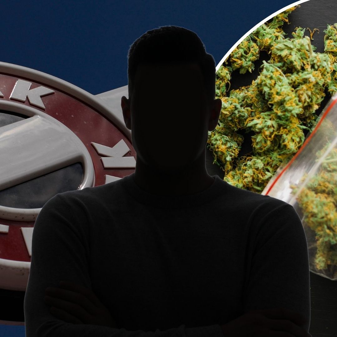 Gesetzeshammer! Hanfshops verlieren plötzlich ihr wichtigstes Produkt