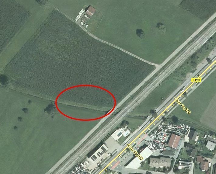 Policija išče osumljenca zaradi spolnega napada v Hohenemsu