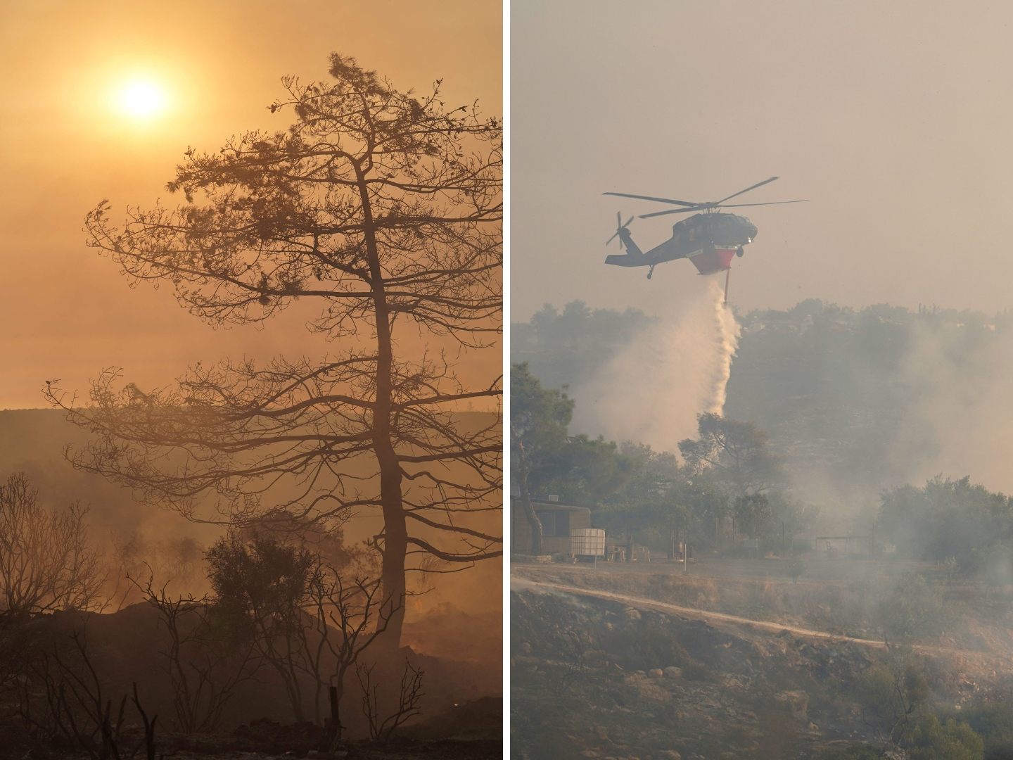 Löschflugzeuge und Einsatzkräfte sind im Dauereinsatz – Zypern bat die EU und Nachbarstaaten um Unterstützung.