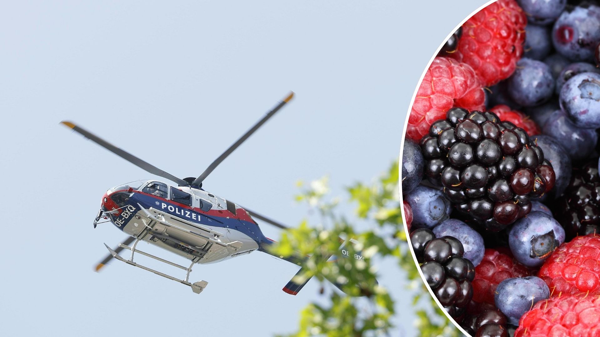 Frau bei Beerensuche in St. Gallenkirch abgestürzt