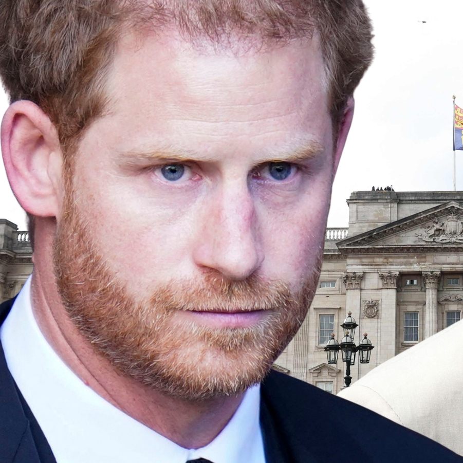Prinz Harry und König Charles III. stehen erneut im Fokus, nachdem ein vertrauliches Treffen ihrer Berater durch einen Foto-Leak für Unruhe im britischen Königshaus sorgt.