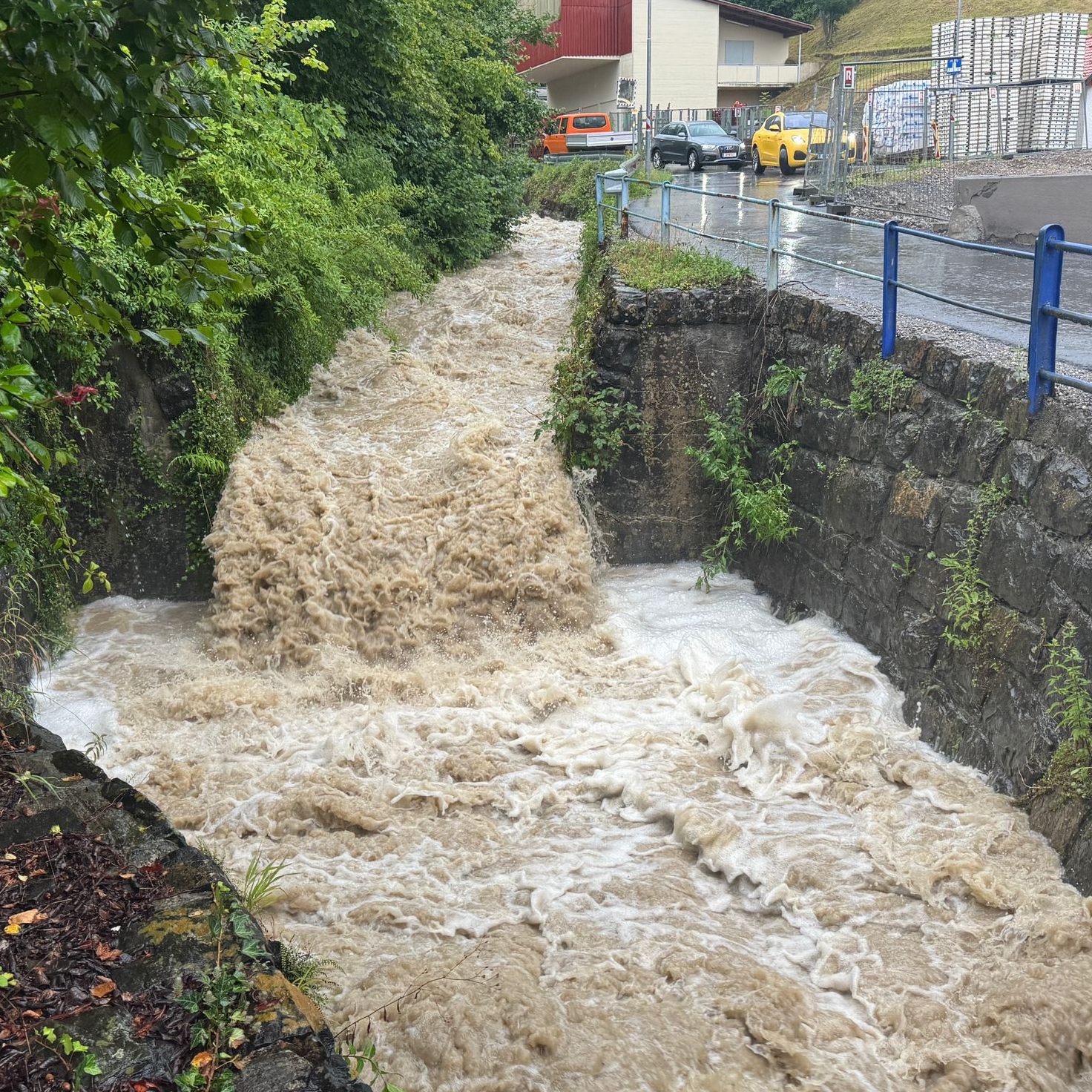 Der Rickenbach in Wolfurt.