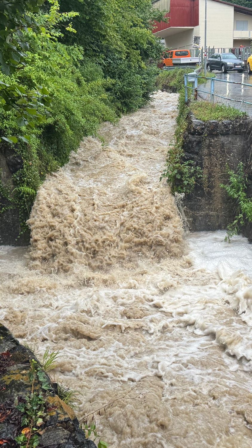 Der Rickenbach in Wolfurt.