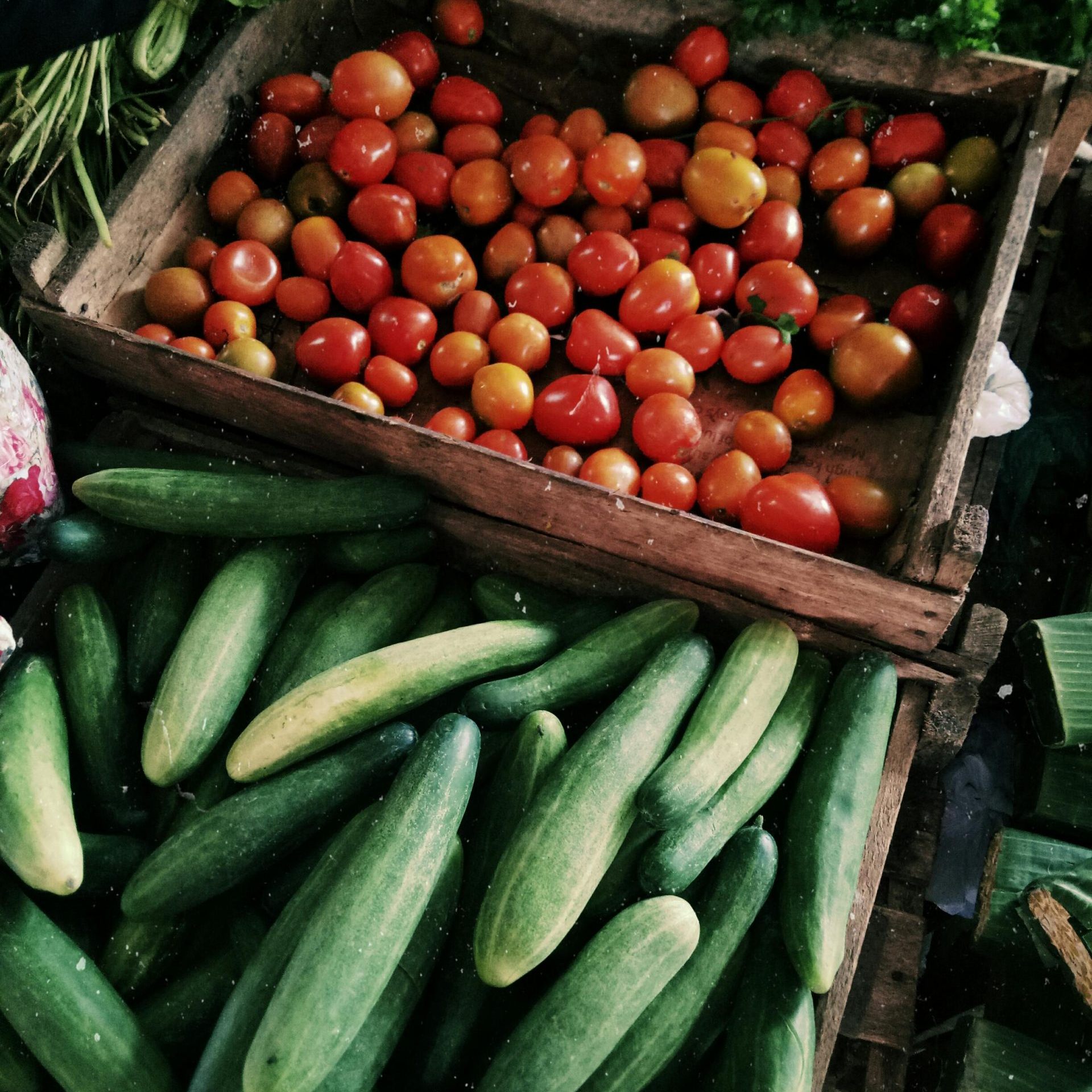 Erfahre, warum Tomaten und Gurken getrennt lagern. Nutze den Ethylen-Trick für längere Haltbarkeit und reduziere Lebensmittelabfall.