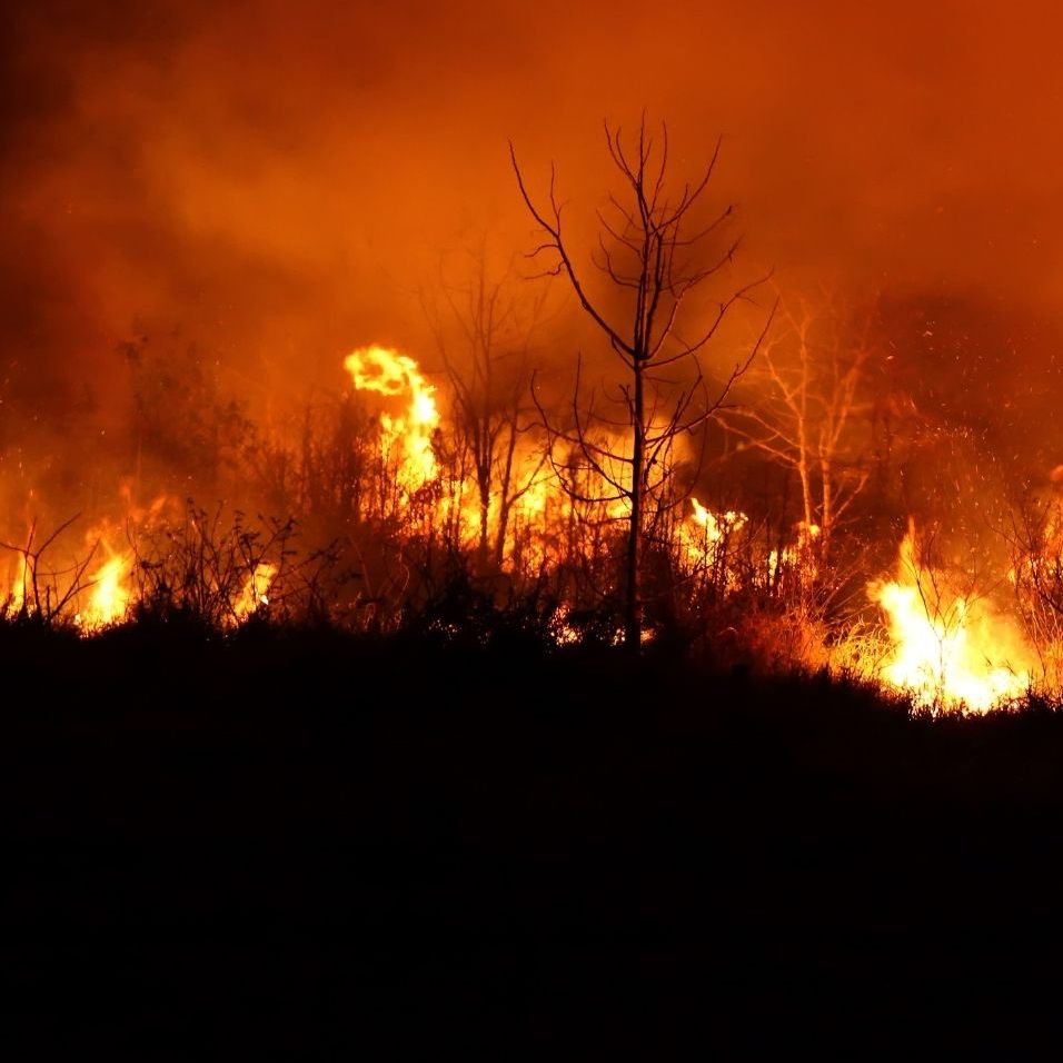 Die Ursache für das Feuer war zunächst unklar. (Symbolbild)