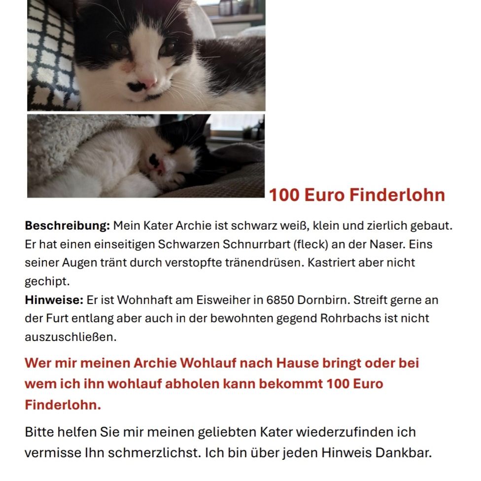 Das ist mein kleiner archi