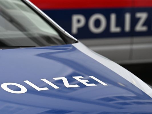 Die Tiroler Polizei nahm dutzende Tatverdächtige fest