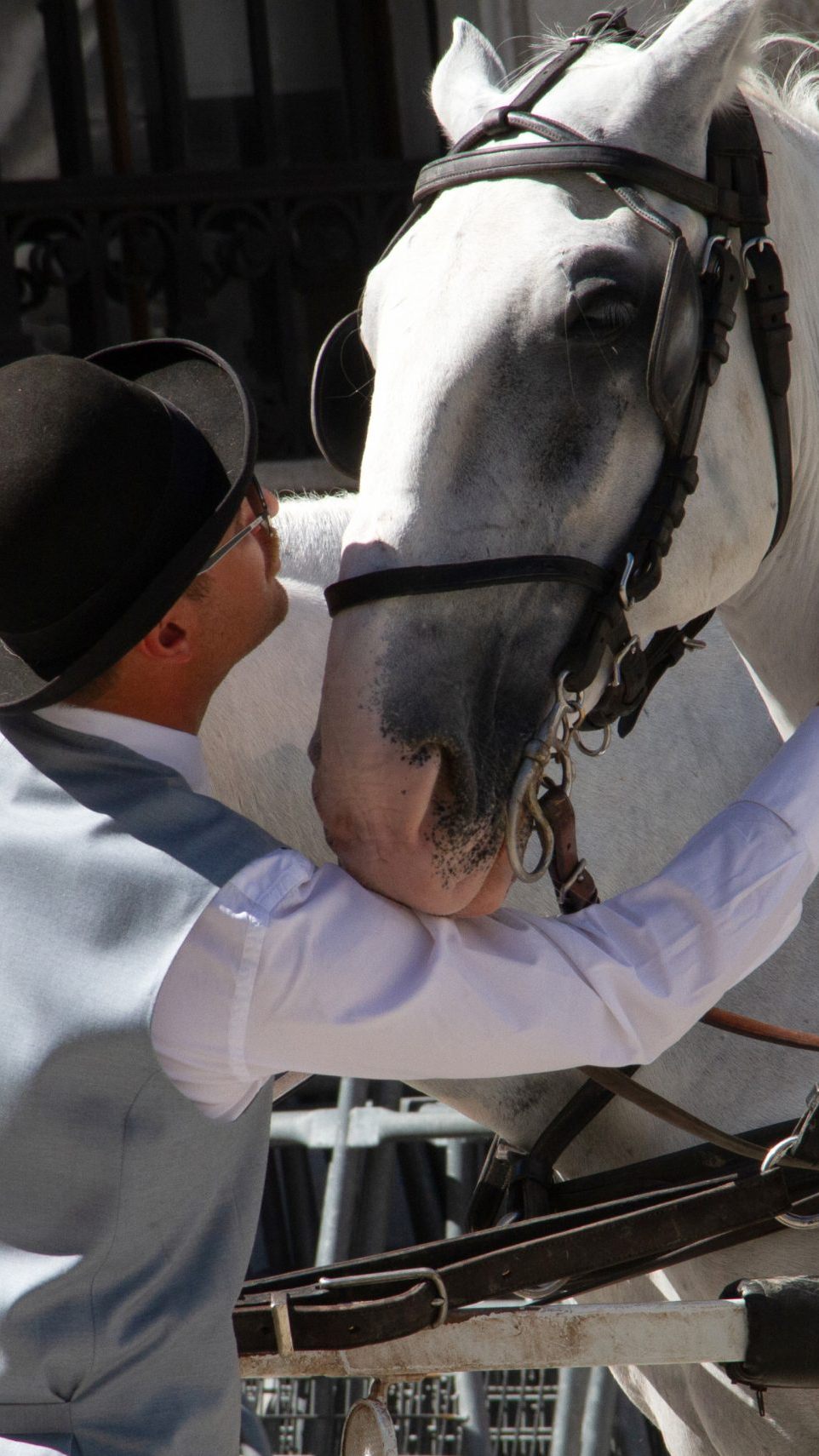 Die Studie ergab keine Hinweise auf Hitzestress bei Wiens Fiakerpferden.