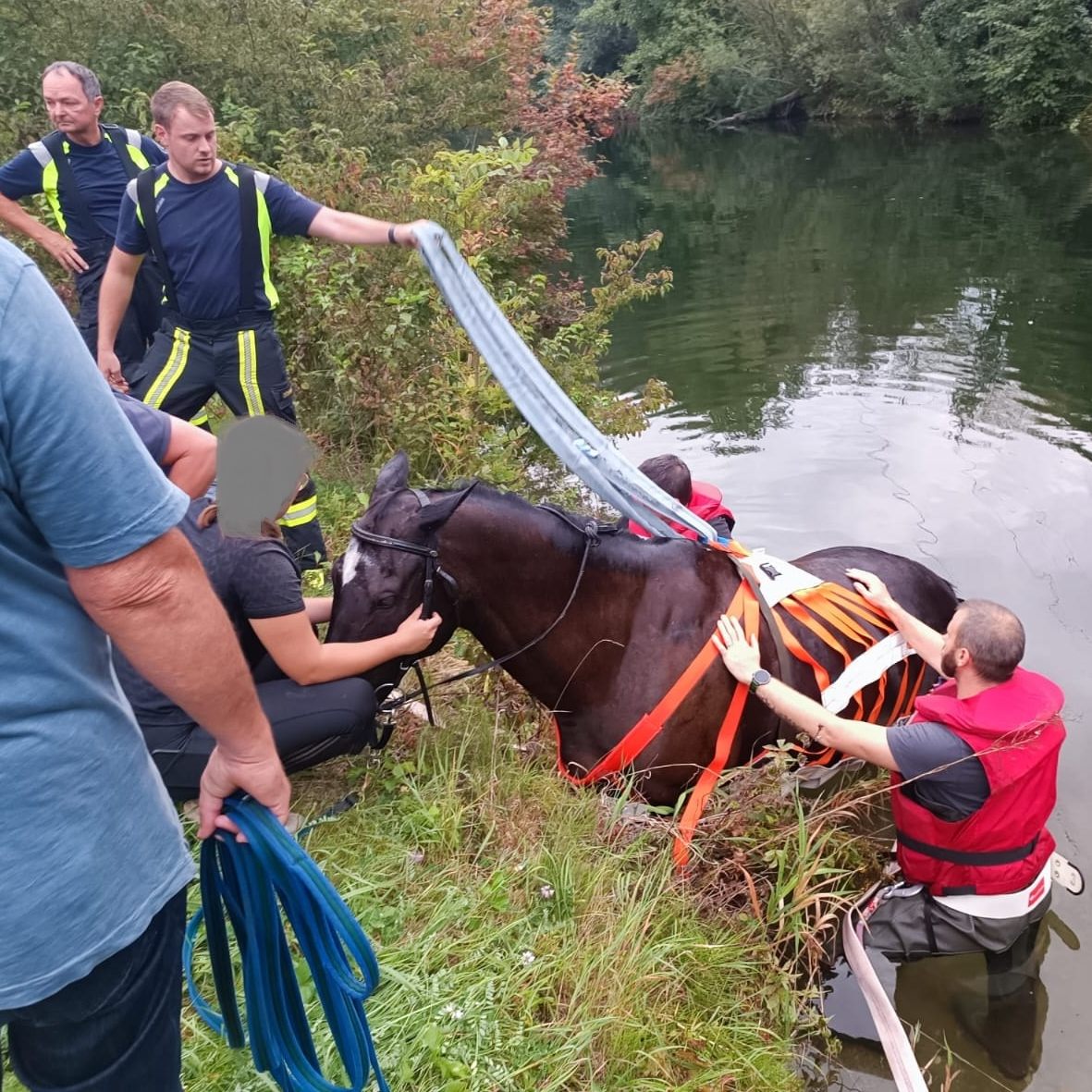 Das Tier hat keine Schäden davongetragen.