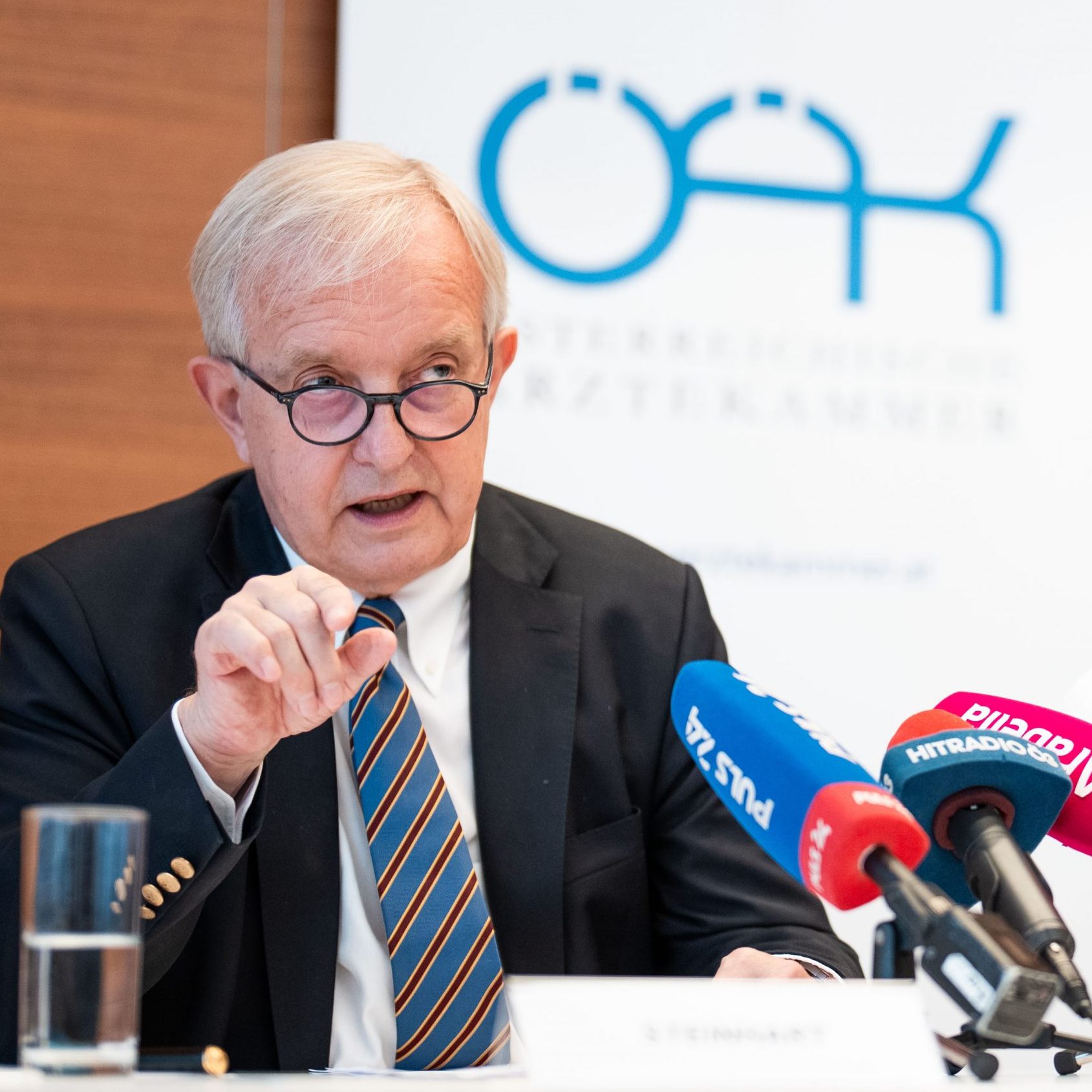 Ärztekammer-Präsident Steinhart bei der Präsentation der aktuellen Ärztestatistik 2024.