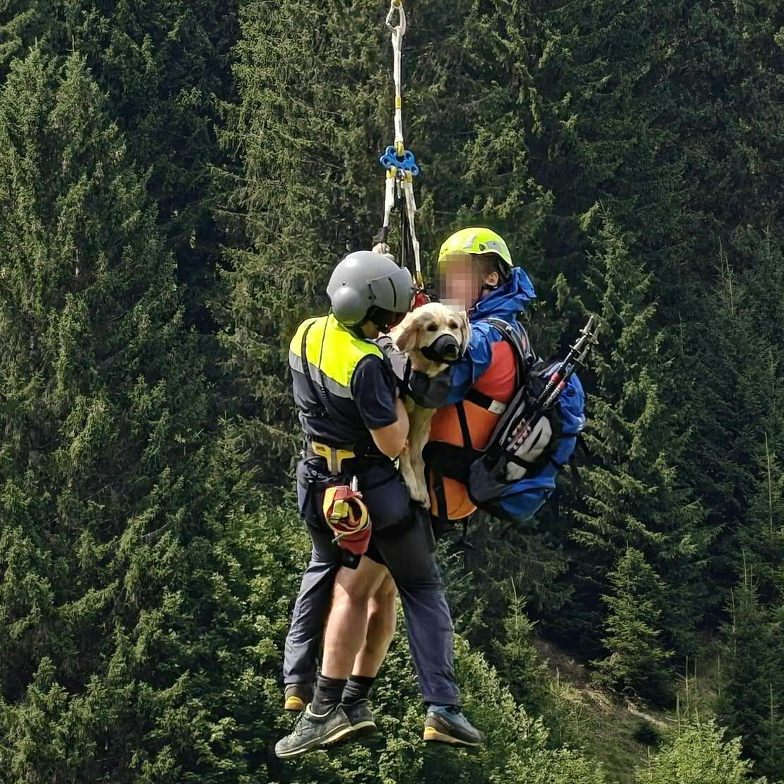 Die schwer verletzte Hündin und ihr Halter wurden per Hubschrauber geborgen.