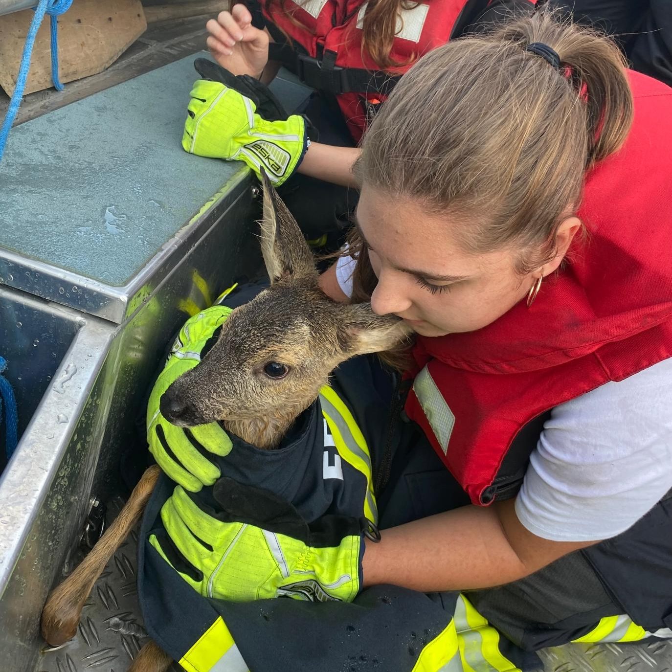 Eine gute Tat: Feuerwehr half Reh.