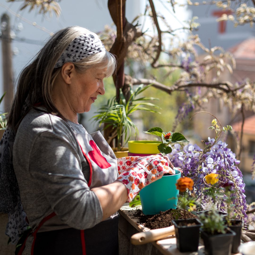 Blüten bis Oktober? So verlängern Sie die Saison auf dem Balkon