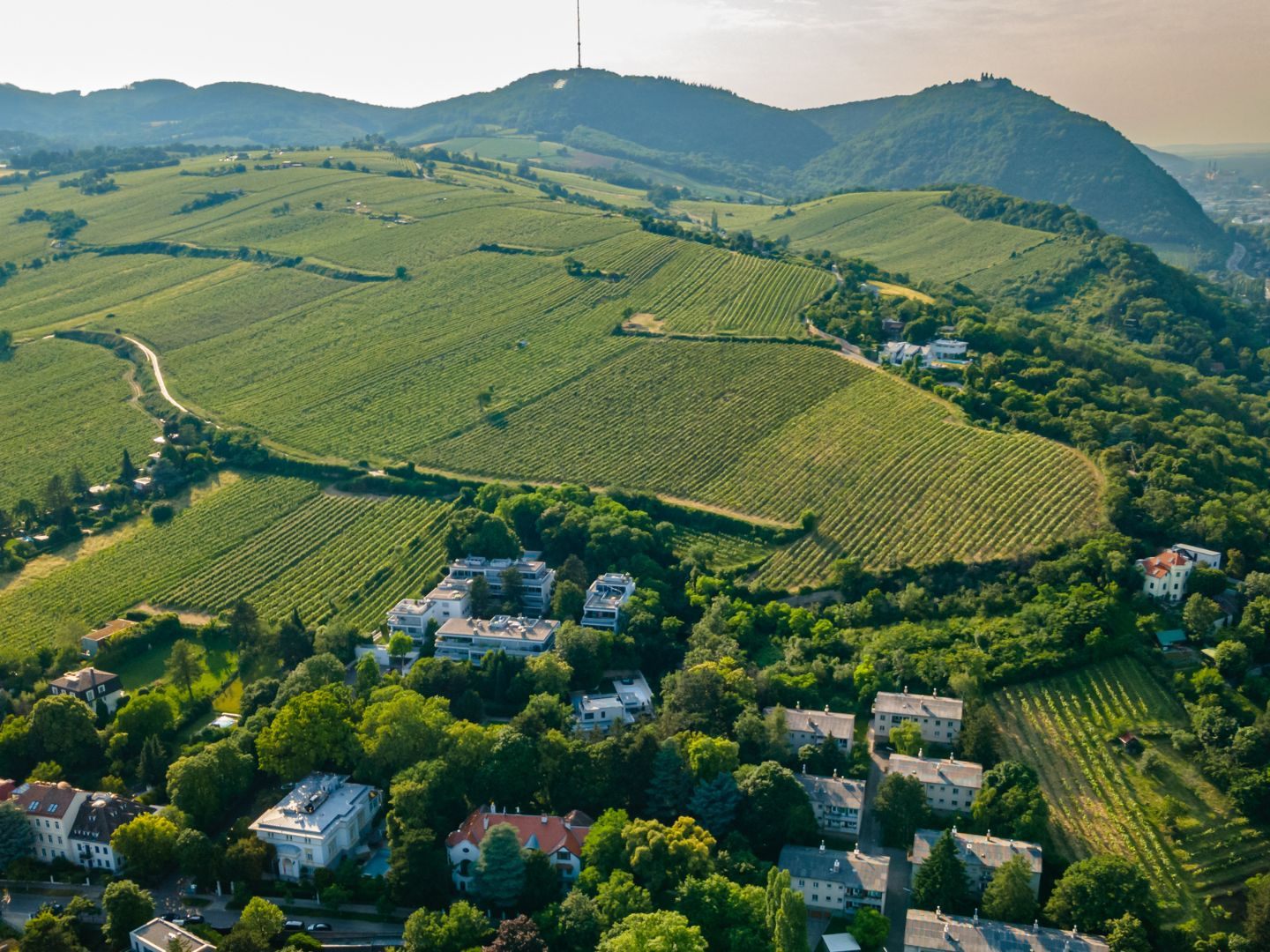 Hier-wurde-2024-das-teuerste-Haus-in-Wien-D-bling-verkauft