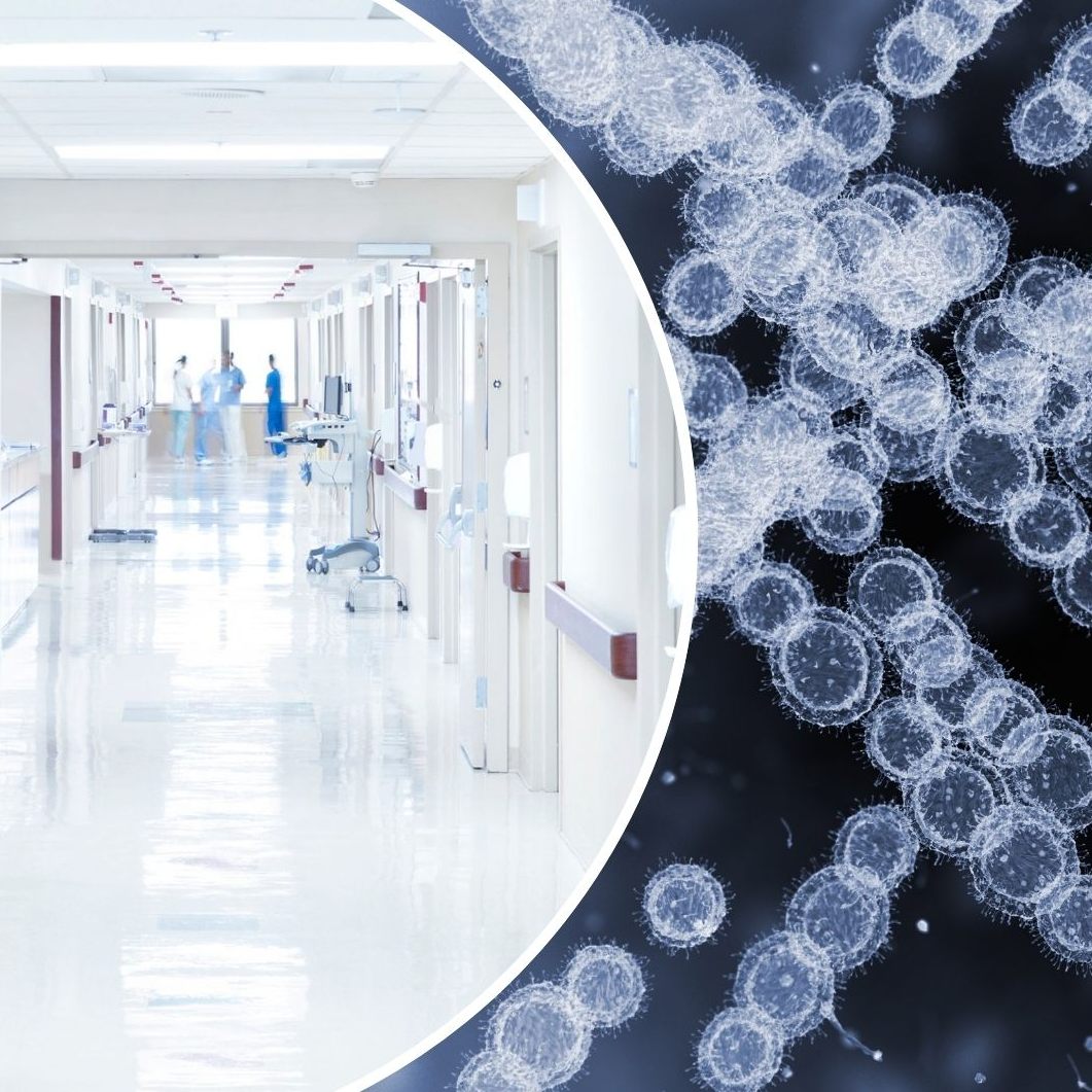 Gefährlicher Hefepilz auf dem Vormarsch (SYMBOLBILD)