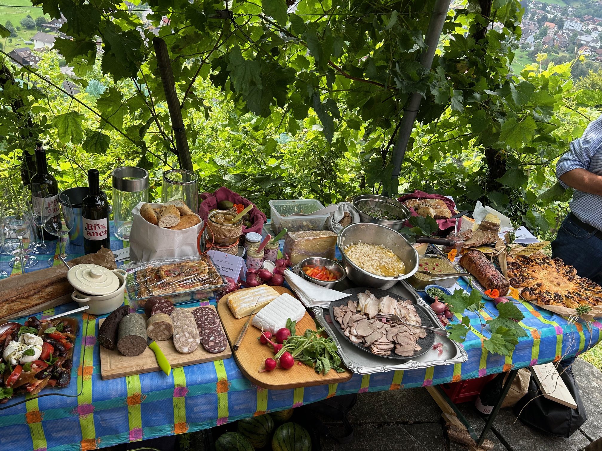 slow food- Bodensee-Picknick slow food- Bodensee-Picknick