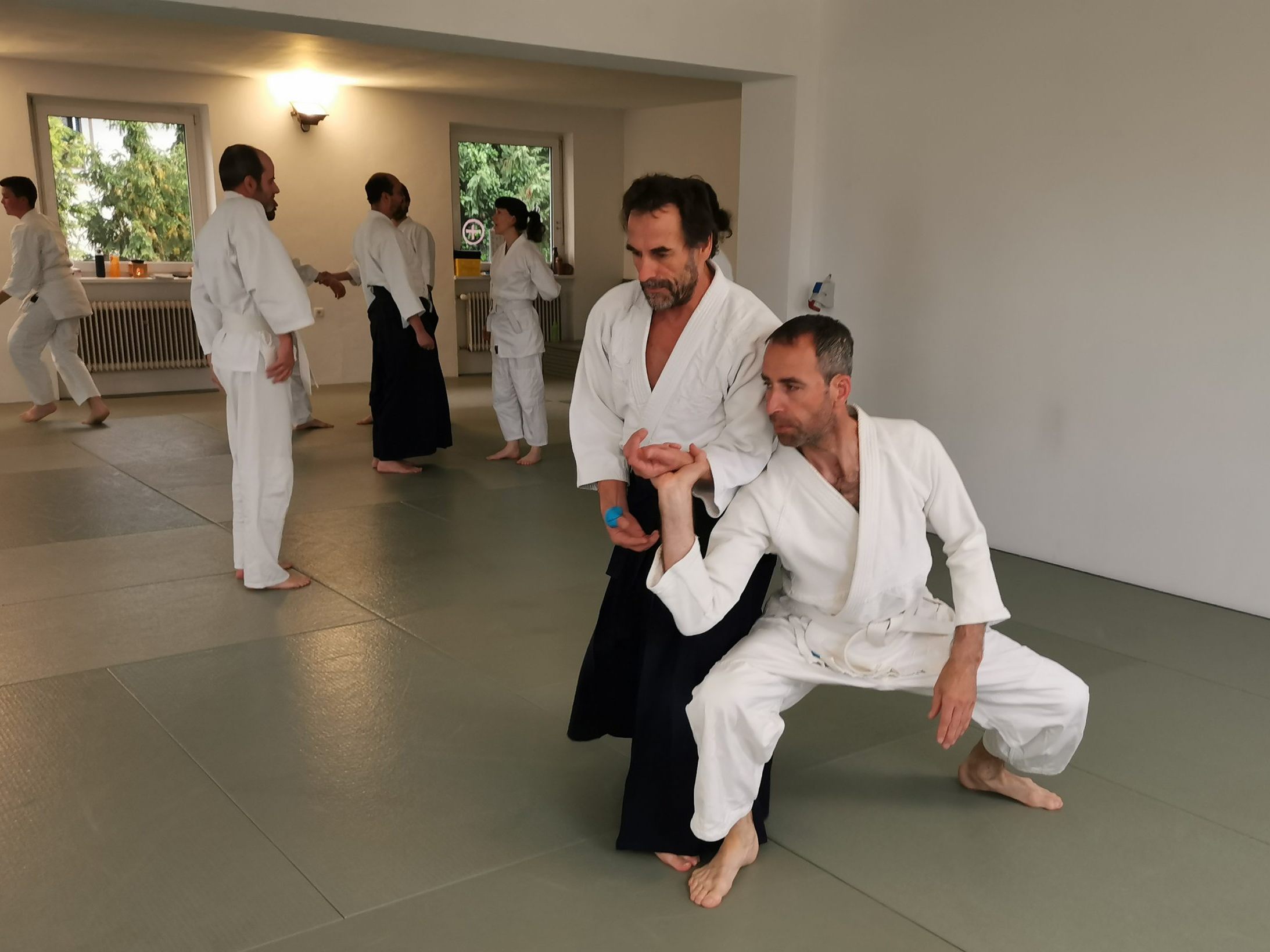 Aikido-Training Aikido-Training