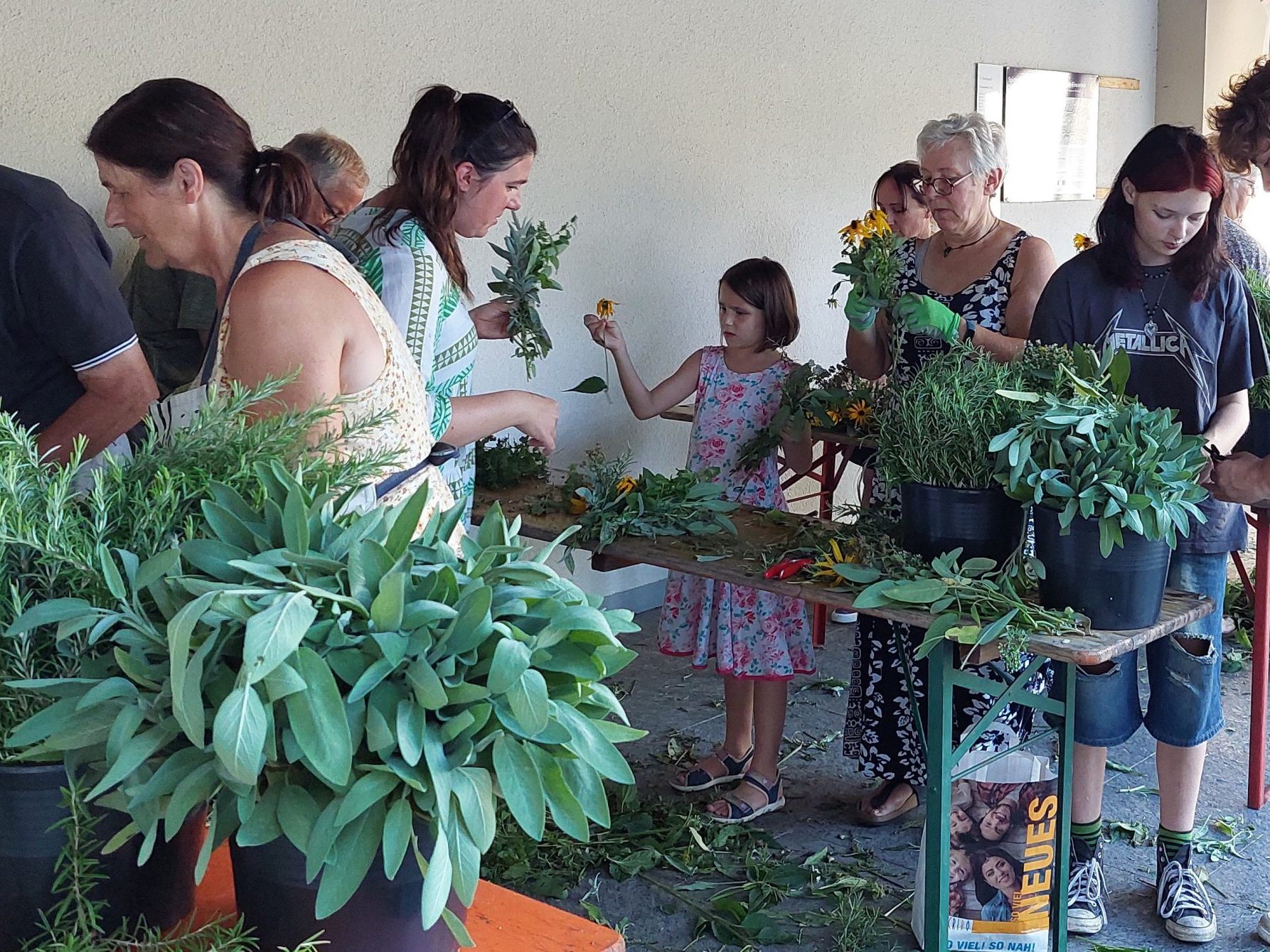 Kräuterbuschen-Binden