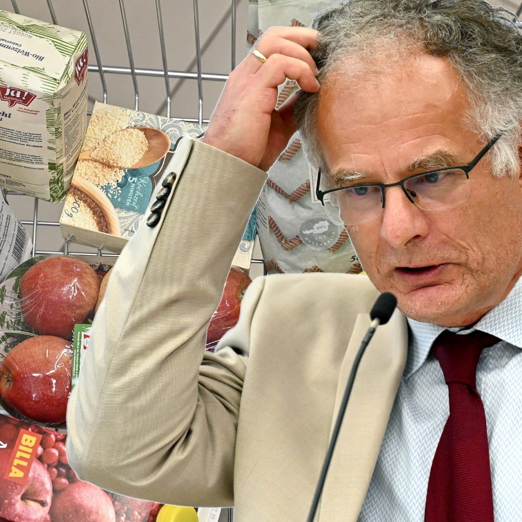 Ökonomen bei Idee von Marterbauer (r.) skeptisch: Impulse statt staatlicher Eingriffe